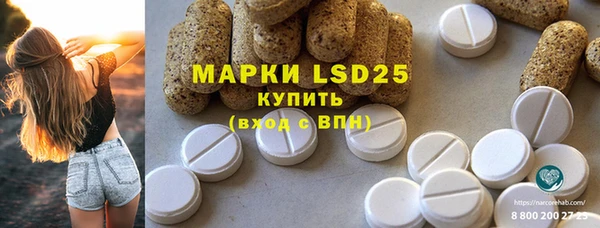 крисы Верея
