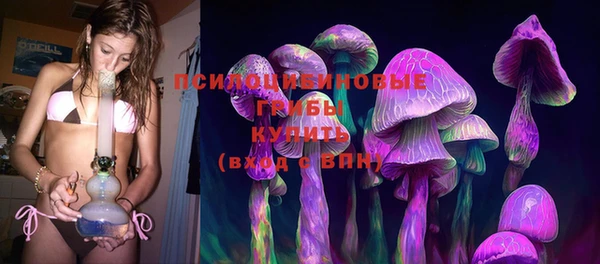 дмт Верхний Тагил